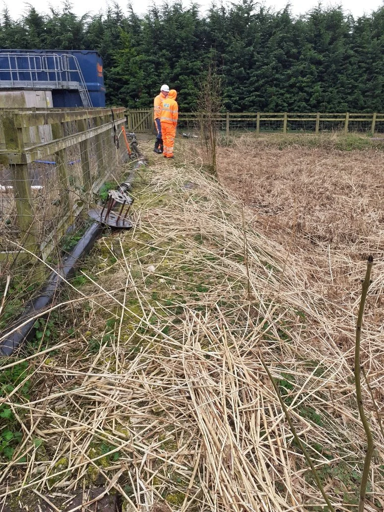 20220330_125042_resized