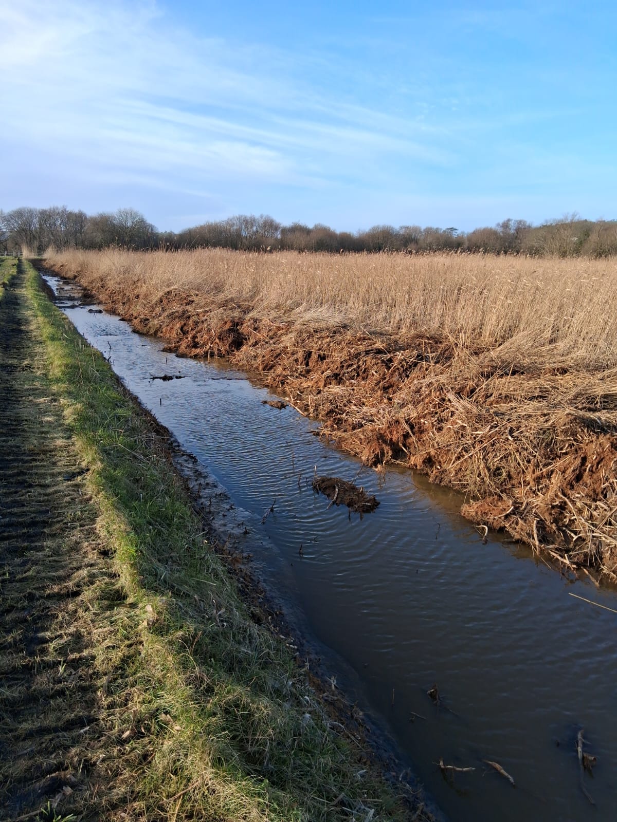 -1211841374_IMG-20250128-WA0007_334540