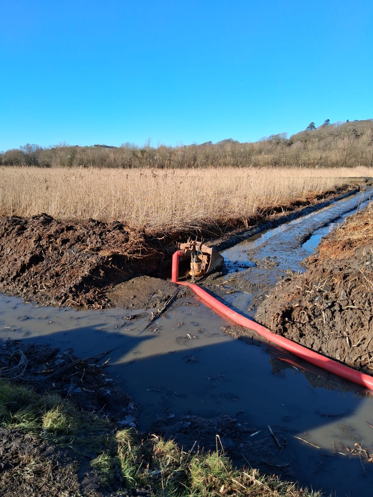 -742207131_IMG-20250206-WA0004_324718