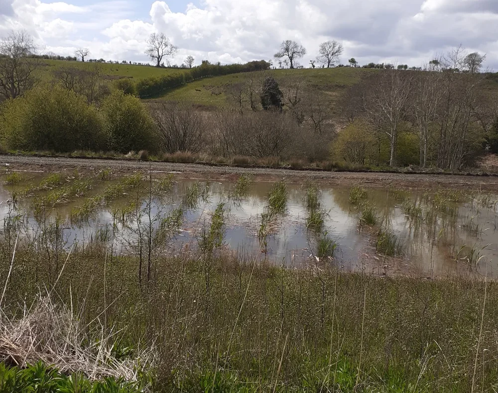 Northumberland-5-e1762173482993