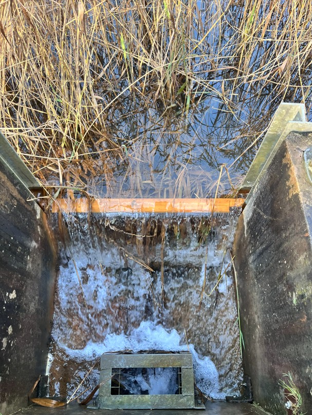 Screenshot 2026-02-13 151316